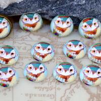 Handmade Owl Photo Glass Cabochons: Jewelry Making Supplies (10-30mm)