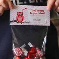 Girl's Printable Valentines - Owl Valentines - Pink and Red Girl DIY Valentine - Treat Bag Toppe