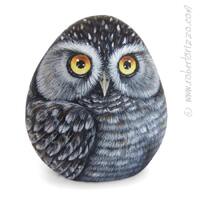 Original Hand Painted Northern Hawk Owl Rock (Surnia Ulula) Hand Painted On a Sea Rockl Unique Paint