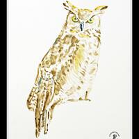 Great Horned Owl - 8x10 Artist Signed Double Matted Decorative Prints