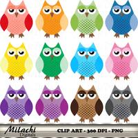 Cute Owl clipart, digital clip art, printable, commercial use - Instant Download - M262