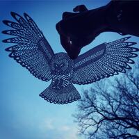 Papercut Owl - beautiful detailed OWL cut from pearl white paper