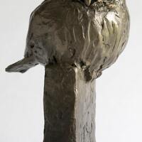 PYGMY OWL SCULPTURE, Fierce One, Northern Pygmy Owl, Original art, cast bronze owl sculpture, owl lo