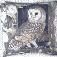 Beautiful Barn owl in barn window cushion ( very rare) pillow