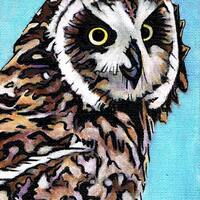 Pueo Art Print: Hawaiian Owl, Endangered Animal Wall Art