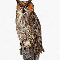 Bird Clip Art Image "Great Horned Owl" Instant Download Image for Prints, Scrapbook, Wall 