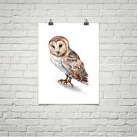 Barn Owl - Original Watercolor Painting 8x10 - Bird Wall Art Decor
