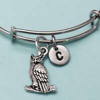 Owl bangle, owl charm bracelet, expandable bangle, charm bangle, personalized bracelet, initial brac