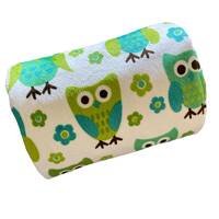 Owls minky toddler blanket