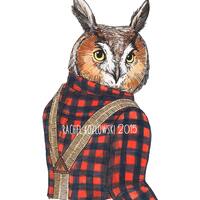 Mr. Owl - Long Eared Owl - Archival Print