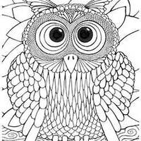 Howlin' Owl Sings the Blues