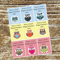 Printable Valentine's Day Card, Children's Valentine's, Kids Valentine's, Owl Valent
