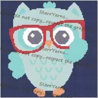 Studious Owl Crochet Graph Pattern