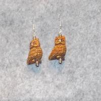 Who are you? Owl earrings