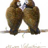 Owl Valentine Card