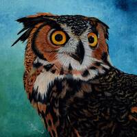 Owl Painting - Great Horned Owl, Original Realistic Painting, Wildlife Painting, Nature Wall Art, Ow