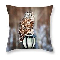 Owl Throw Pillow, Barred Owl Decorate PILLOW, home decor pillow, Wildlife Pillow, Pillows, Accent Pi