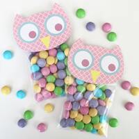 Spring Owl Bag Toppers. Owl Treat Bag Toppers. Perfect for Owl Birthday Party, Owl Baby Shower, East