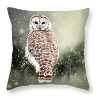 Barred Owl wildlife Decorative Pillows, Throw Pillows, Accent Pillow, Couch Pillow, Euro Sham, Bed P