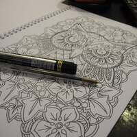 owl and flower colouring page