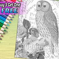 Grayscale Owl - Adult Coloring Book Page - Printable Instant Download