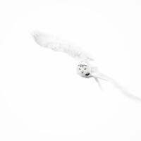 Snowy Owl Picture, Snowy Owl Photo, Snowy Owl Print, Owl Decor, Owl Art Print, Owl Wall Art, Bird Ph