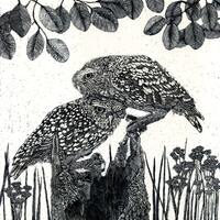 Art Print Ltd ED: Burrowing Owls on a Hollow Log from Scraperboard Original