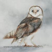 Barn owl Painting of Owl PRINT- woodland nursery print owl Painting of barn owl print watercolor woo