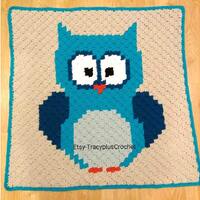 Owl blanket.Crochet Owl blanket.Owl crib blanket.Owl baby blanket.Owl toddler blanket. Boy owl blank