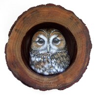 Tawny Owl Nest | A Fantastic Lucky Charm to Decorate your Home and a Unique Gift Idea for Owl Lovers