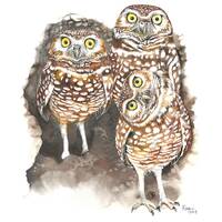 Burrowing Owls / Owl Gouache Art / Limited Edition Double-matted GICLEE PRINT / Painting titled &quo