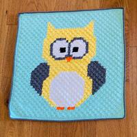 Crochet Owl Baby Blanket &ndash; Teal, Yellow, Gray