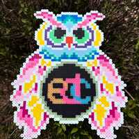 EDC Owls