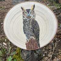 Natures Perch- Oscar The Eagle Owl