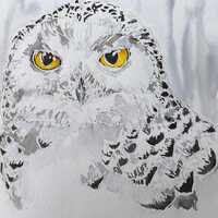 Snowy owl original watercolour painting, winter wildlife artwork by Edie Brae