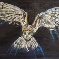 Barn Owl Wall Art &ndash; Original Owl Painting in Charcoal, Pastel & Gold Acrylic &ndash; Night