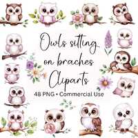 Owl sitting on a branch Watercolor Clipart, 48 Cliparts, Baby Owl on a branches Clipart