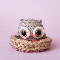 Custom Owl Crochet Mini Plushie: pocket hug ~ desk pet | Personalized Birthday Gift