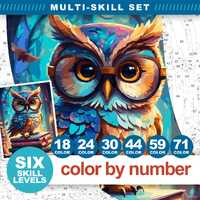 Color by Number for Adults, Magical Owl Printable or Digital Paint by Numbers, Enchanted Owl with Gl
