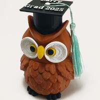 Graduation Owl Locking Maze Bank