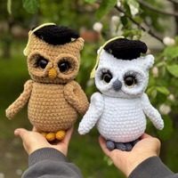 knitted owl, amigurumi plush owl, graduate owl, graduate gift, smart owl toy, owl with big eyes