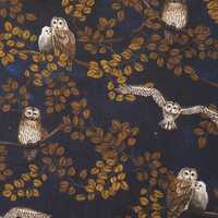 Night Owl Quilting Cotton Fabric Timeless Treasures Fabrics ROSIE-CD2487 Night Dark Navy