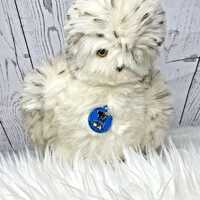 Realistic Dakin Owl Bird Snow Barn Forest Zoo Stuffed 1981 Plush 9in