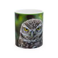 Funny Owl Mug - Hands Off My Mug, Ceramic Mug for Bird Lovers, Owl Gifts, Unique Coffee Mug, 11oz
