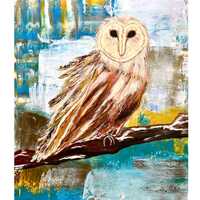Glimmer….Barn Owl