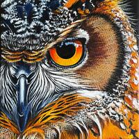 Original Owl Oil Painting: Colorful Bird Portrait, Canvas Wall Art (16x12 inches)