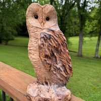 Hand Carved Barn Owl Custom Sculpture by Wildlife Artist Lowell Mosley One of A Kind Owl Collector C