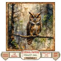 Owl Printable Single or Double-sided Digital Paper for Junk Journal, Woodland Scrapbooking Paper