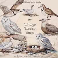 Vintage Tundra Birds Clipart: Snowy Owl, Arctic Wildlife (PNG Digital Download)