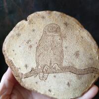 Burl Wood Natural Owl Carving on a Branch with Stars